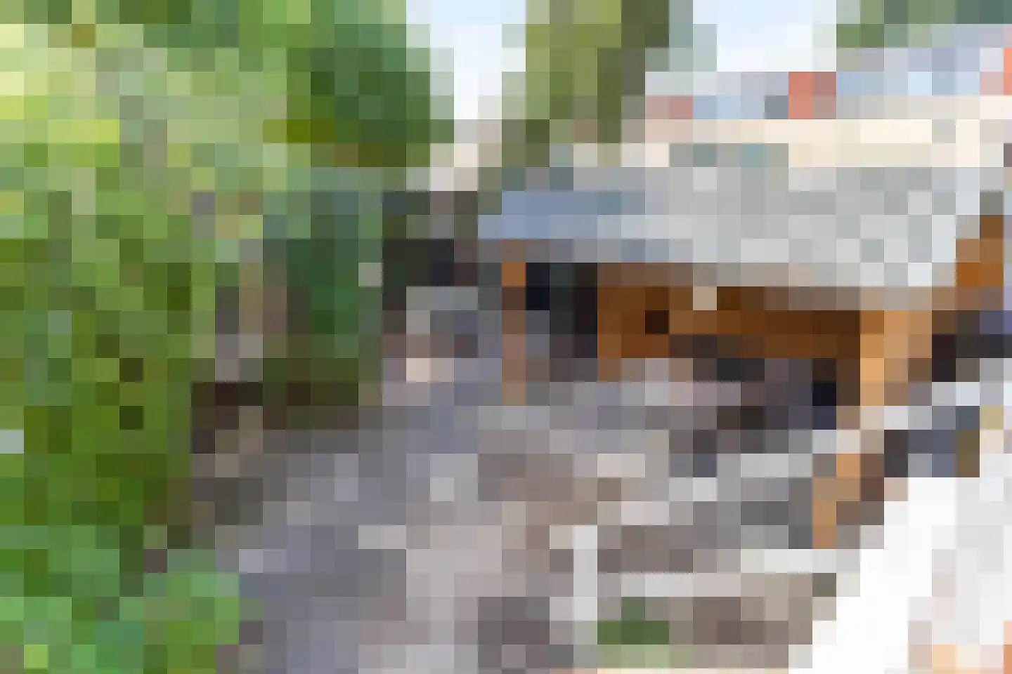 Ridderhoflaan 41 Koudekerk aan den Rijn thumbnail 31