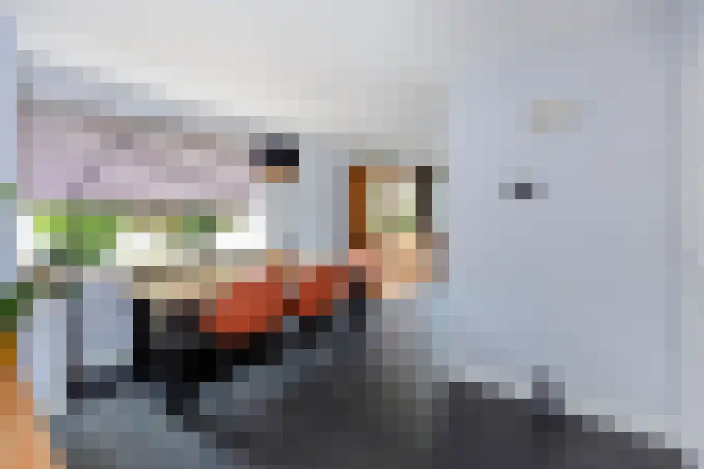 Ridderhoflaan 41 Koudekerk aan den Rijn thumbnail 9
