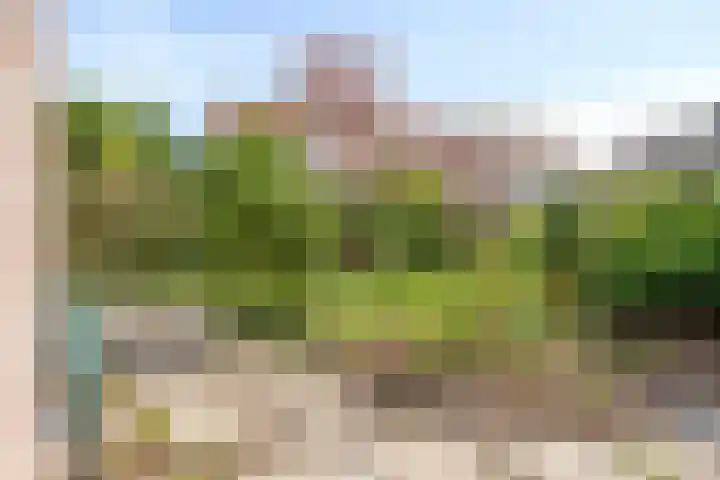 Ridderhofstraat 40 Kwadendamme thumbnail 32