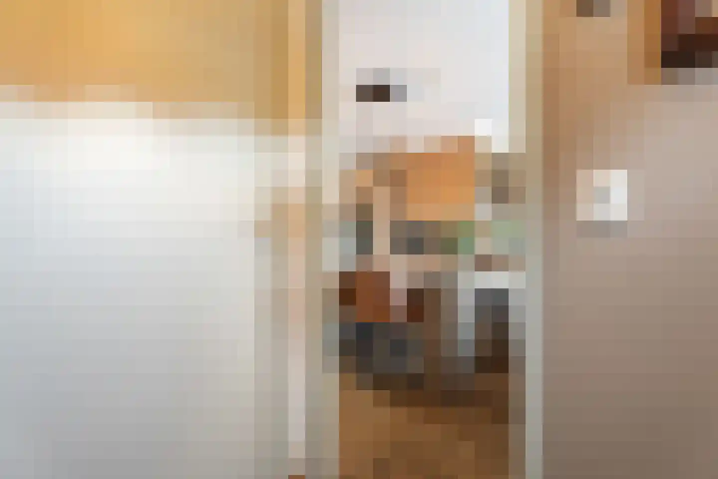 Ridderkerksingel 24 Tilburg thumbnail 17