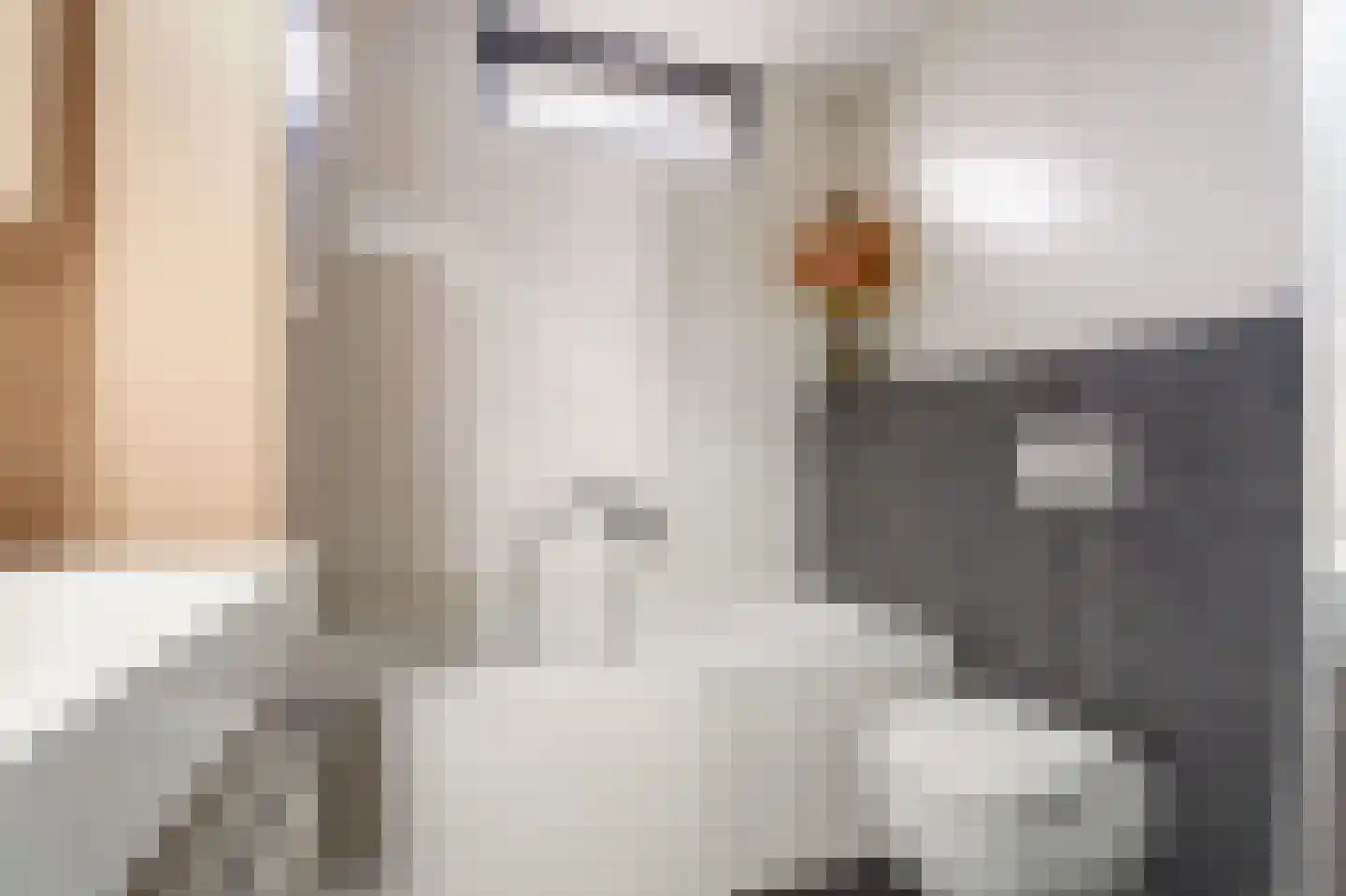 Ridderkerksingel 24 Tilburg thumbnail 22