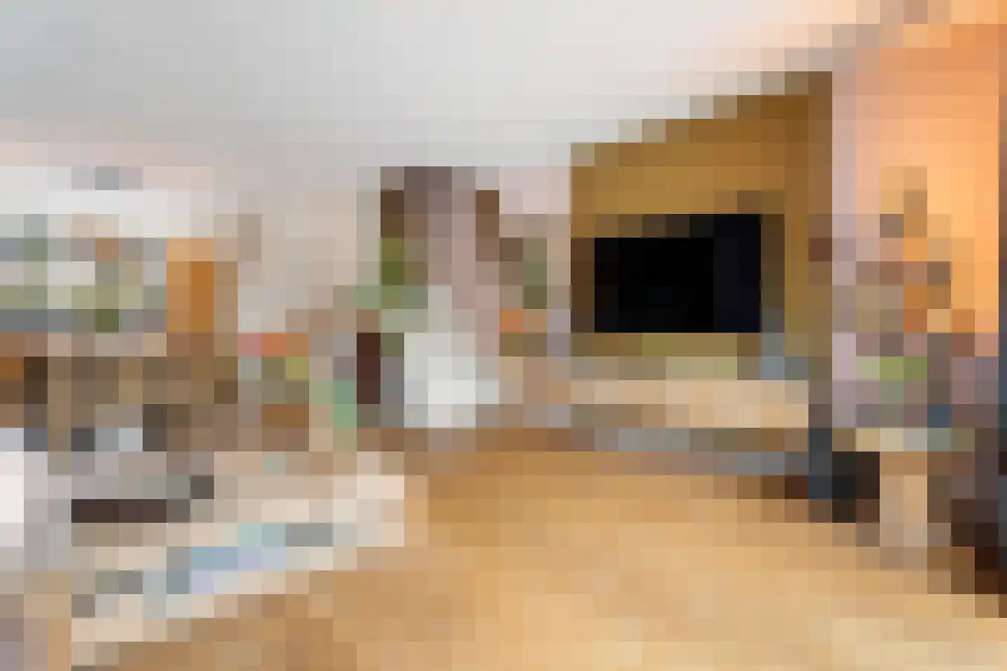 Ridderkerksingel 24 Tilburg thumbnail 7
