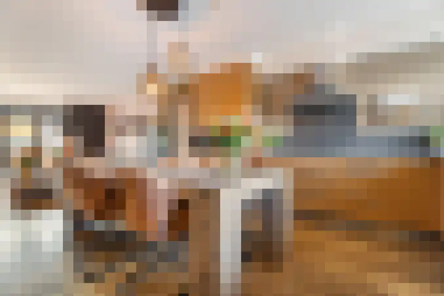 Ridderkerksingel 24 Tilburg thumbnail 9