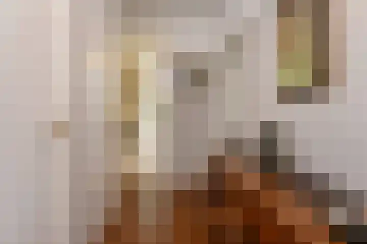 Ridderlaan 1 Den Haag thumbnail 10