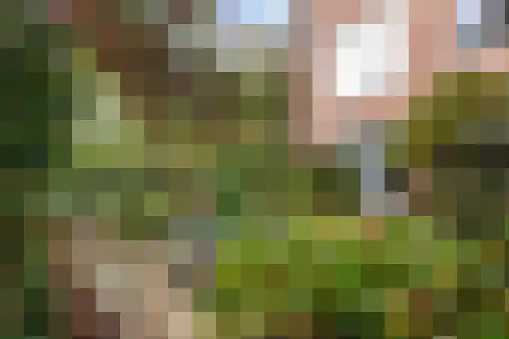 Ridderlaan 1 Den Haag thumbnail 24