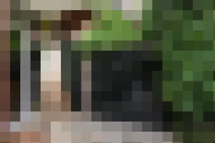 Ridderlaan 1 Den Haag thumbnail 25