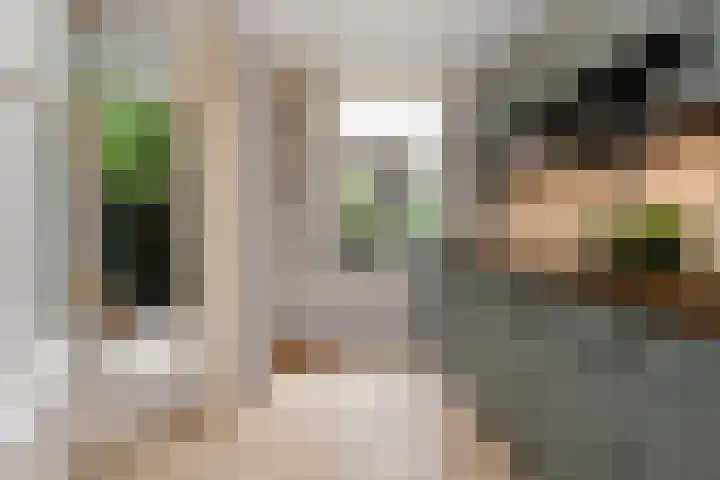 Ridderlaan 1 Den Haag thumbnail 5