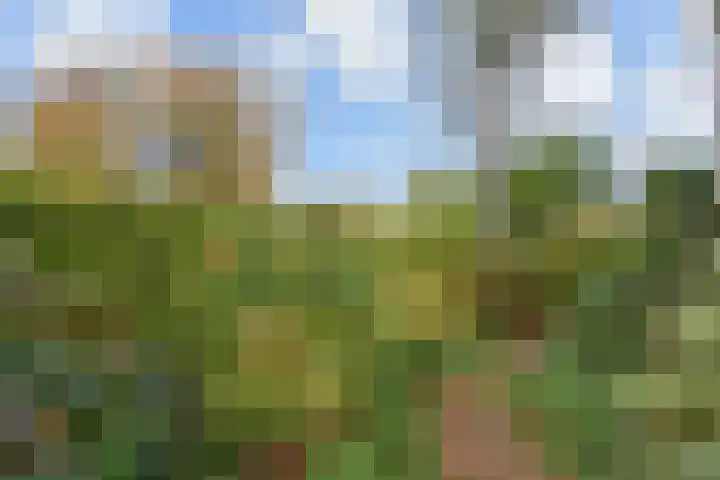 Ridderlaan 1 Den Haag thumbnail 8