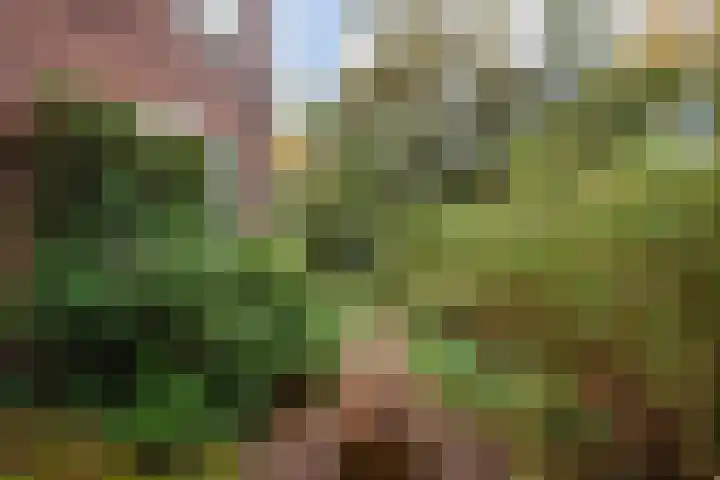 Ridderlaan 1 Den Haag thumbnail 9