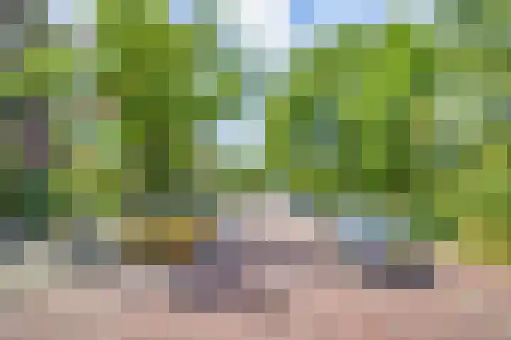 Ridderlaan 127 Den Haag thumbnail 14