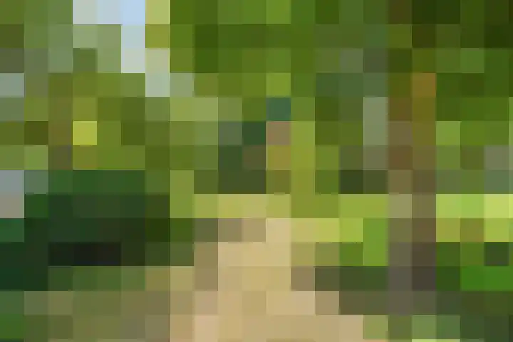 Ridderlaan 127 Den Haag thumbnail 15
