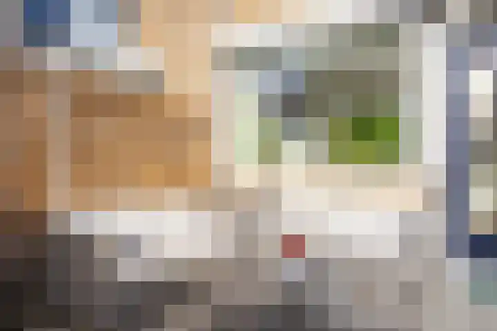 Ridderlaan 13 Utrecht thumbnail 18