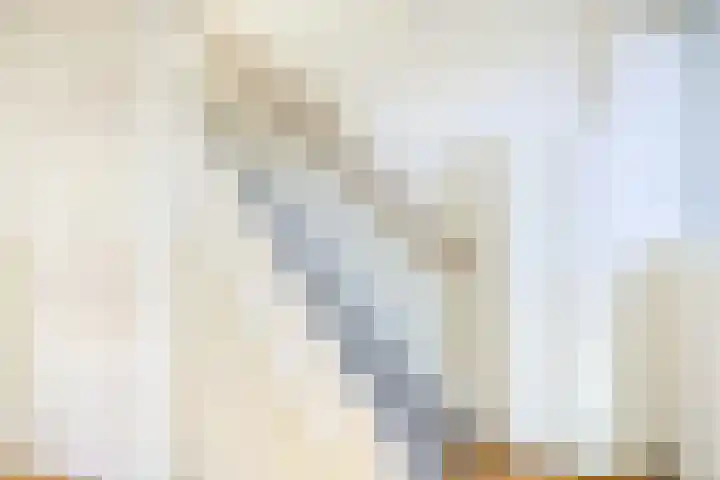 Ridderlaan 13 Utrecht thumbnail 24