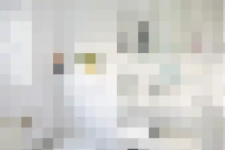 Ridderlaan 13 Utrecht thumbnail 33
