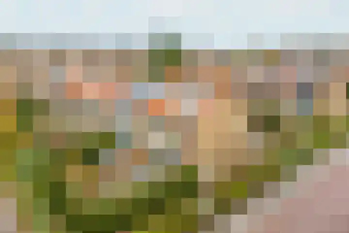 Ridderlaan 13 Utrecht thumbnail 46