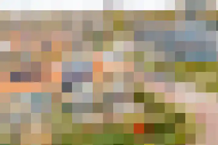 Ridderlaan 13 Utrecht thumbnail 47