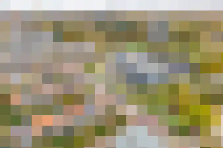 Ridderlaan 13 Utrecht thumbnail 48