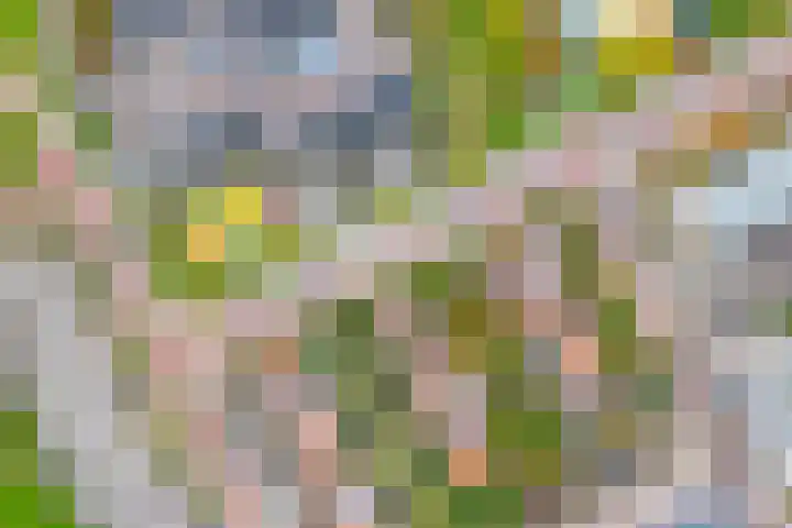 Ridderlaan 13 Utrecht thumbnail 50