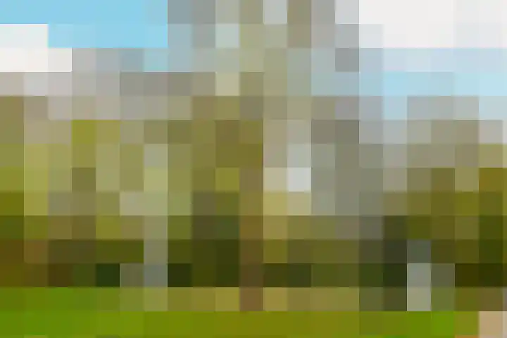 Ridderlaan 13 Utrecht thumbnail 51