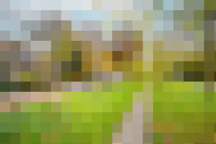Ridderlaan 13 Utrecht thumbnail 54