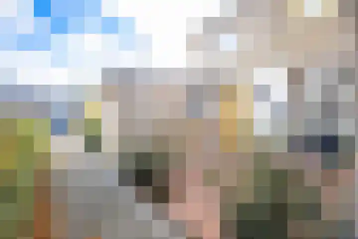 Ridderlaan 13 Utrecht thumbnail 7