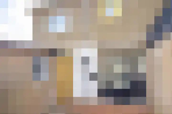Ridderlaan 13 Utrecht thumbnail 8