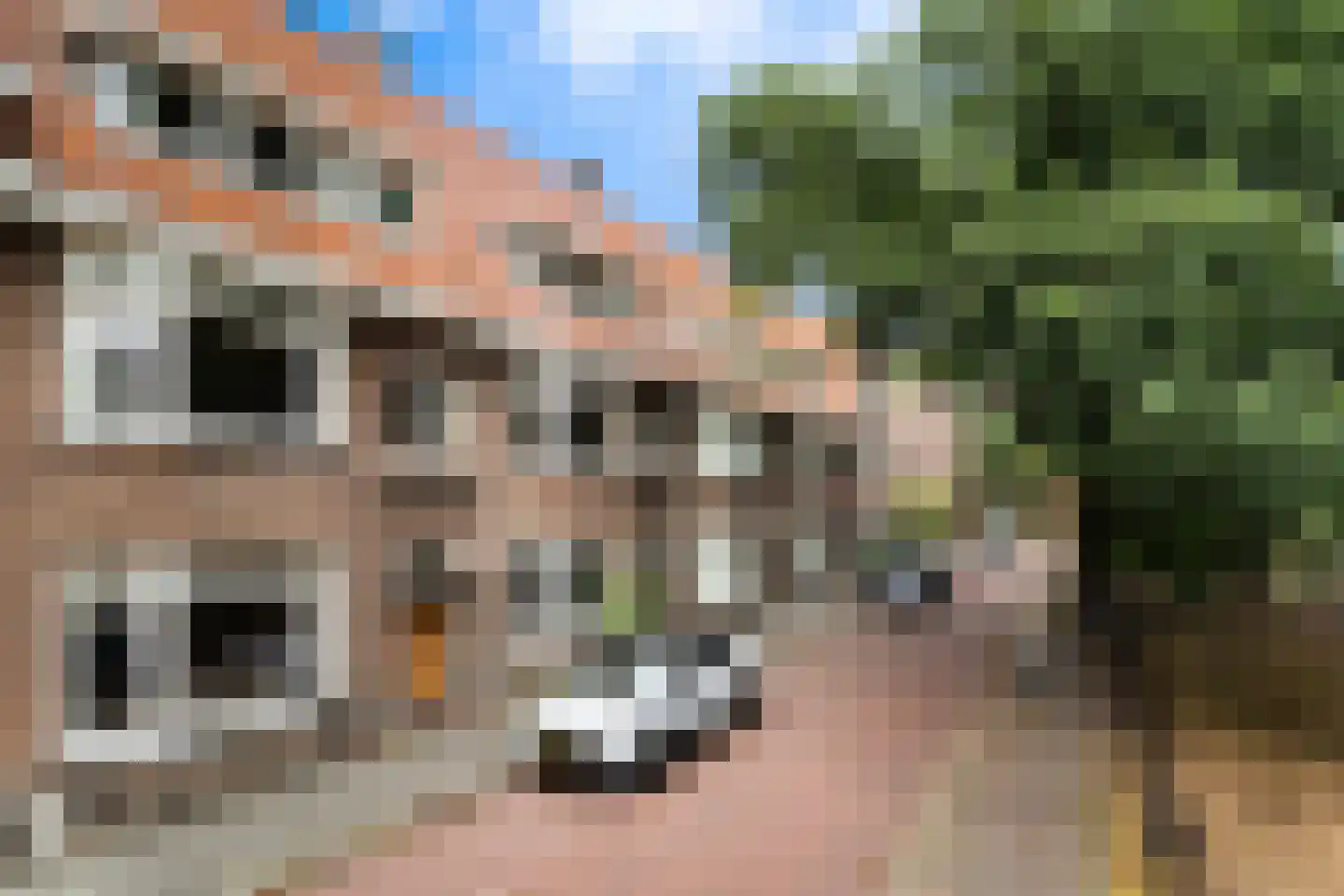 Ridderlaan 14 Den Haag