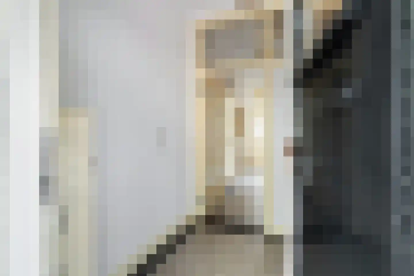 Ridderlaan 14 Den Haag thumbnail 10