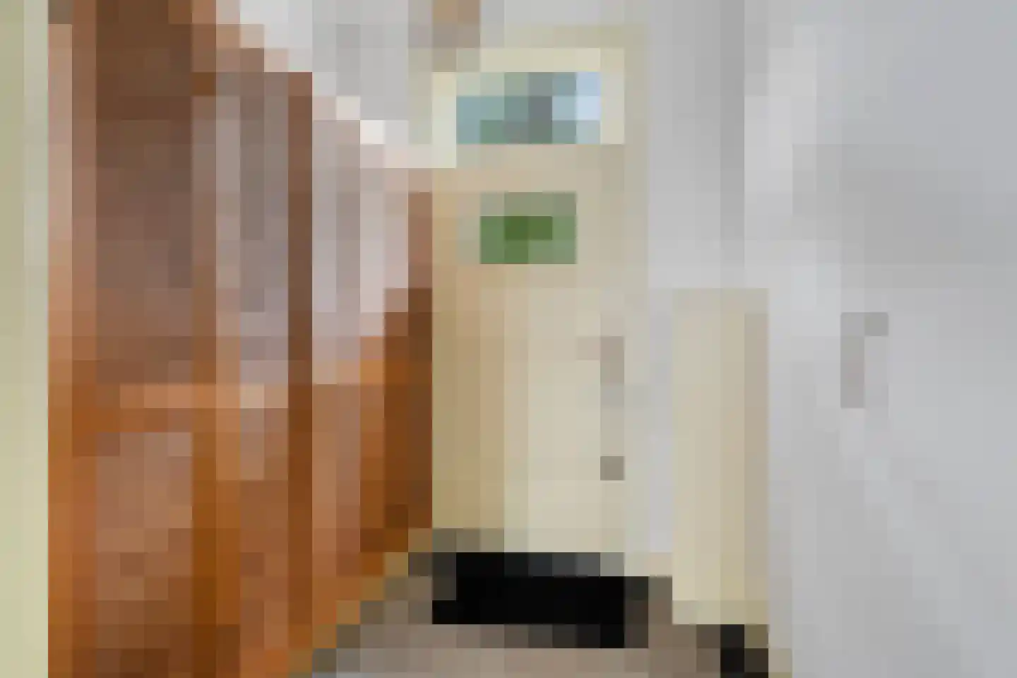Ridderlaan 14 Den Haag thumbnail 11