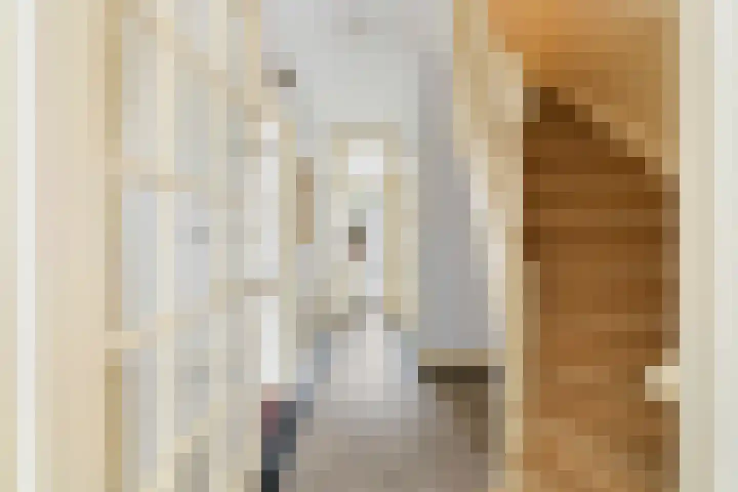 Ridderlaan 14 Den Haag thumbnail 12