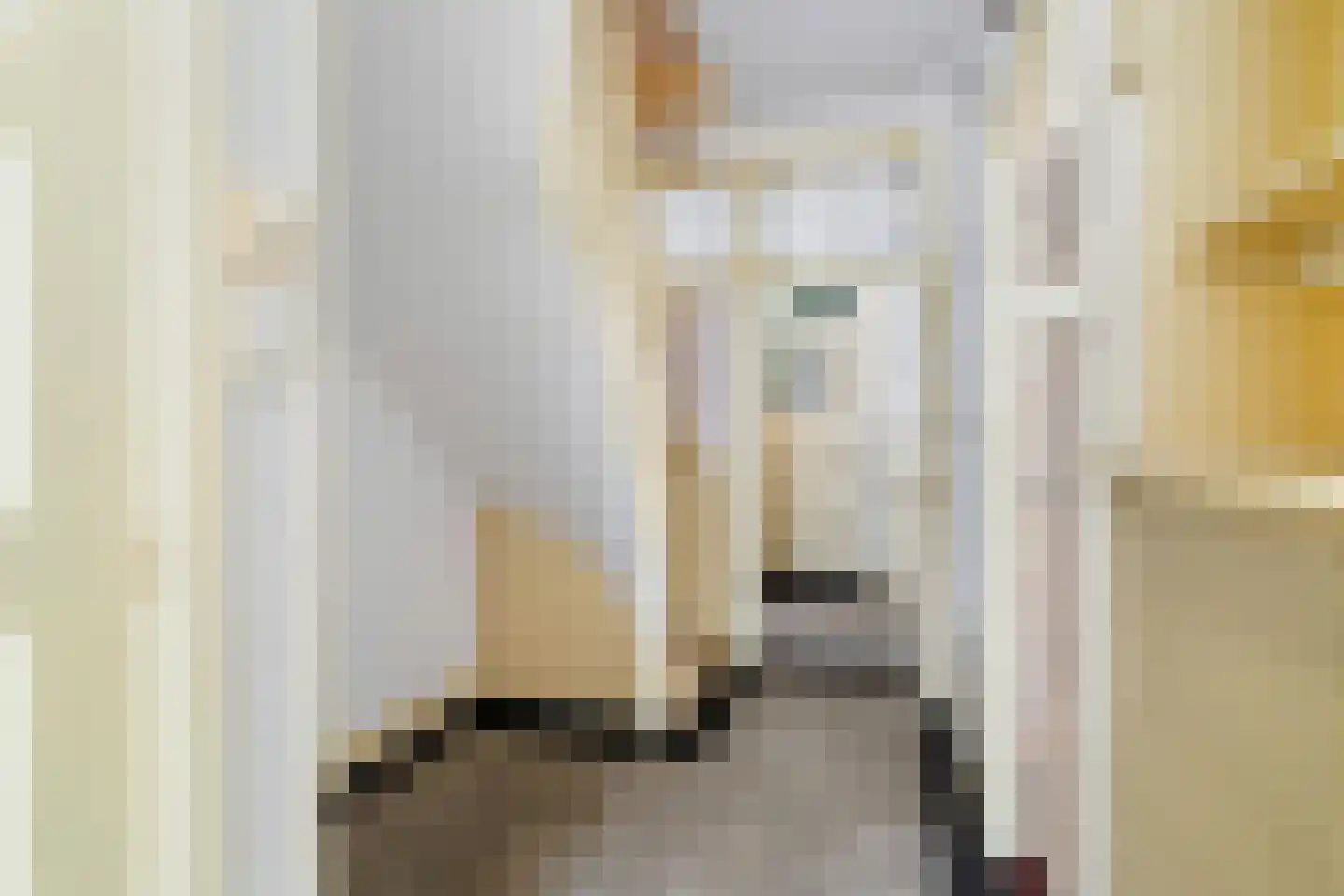 Ridderlaan 14 Den Haag thumbnail 13