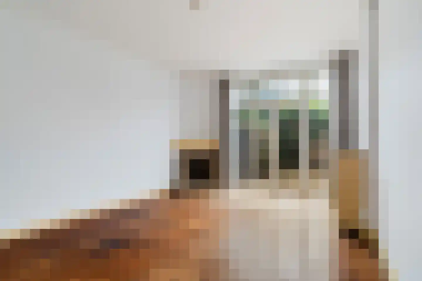 Ridderlaan 14 Den Haag thumbnail 17