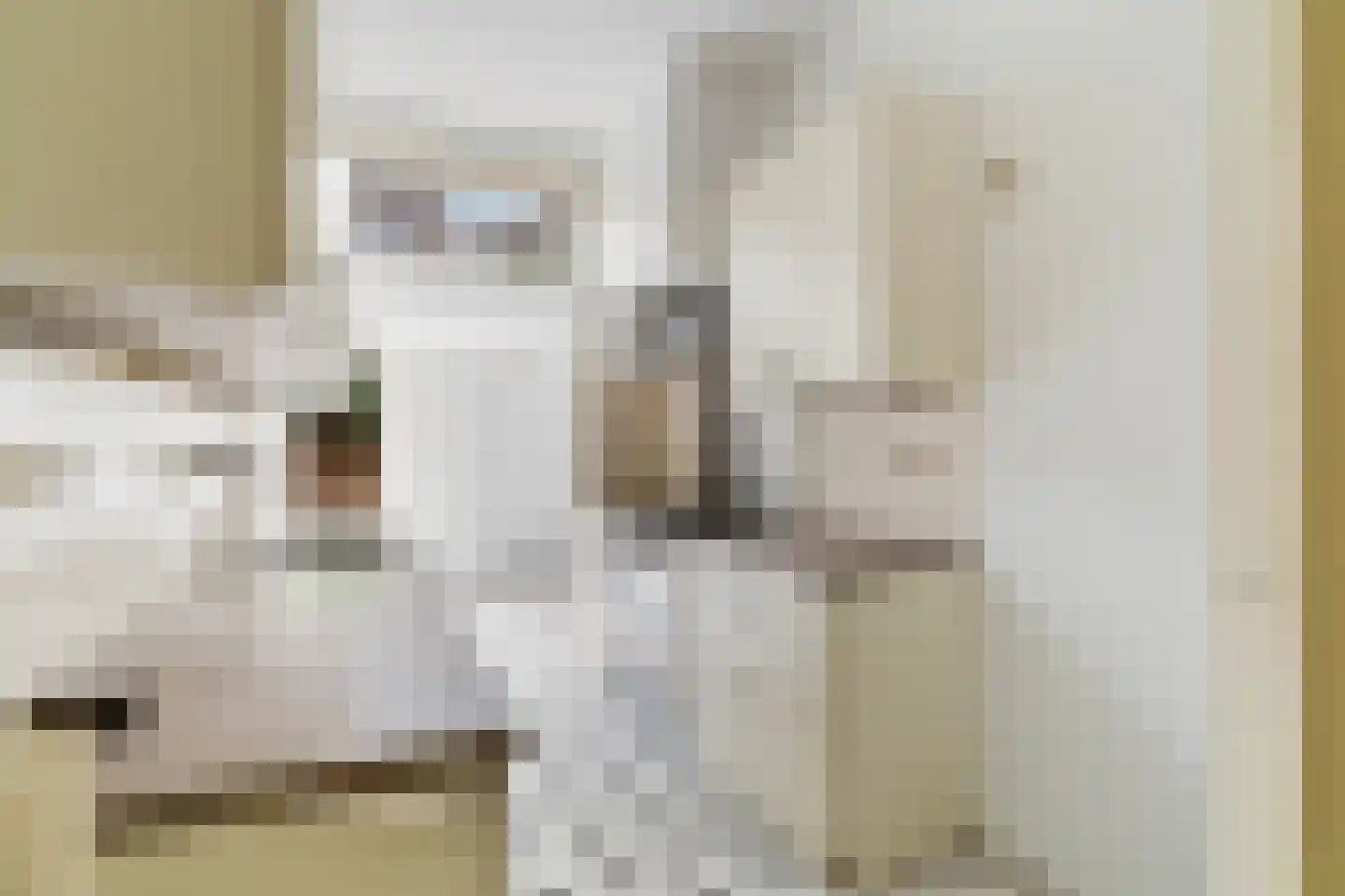Ridderlaan 14 Den Haag thumbnail 23