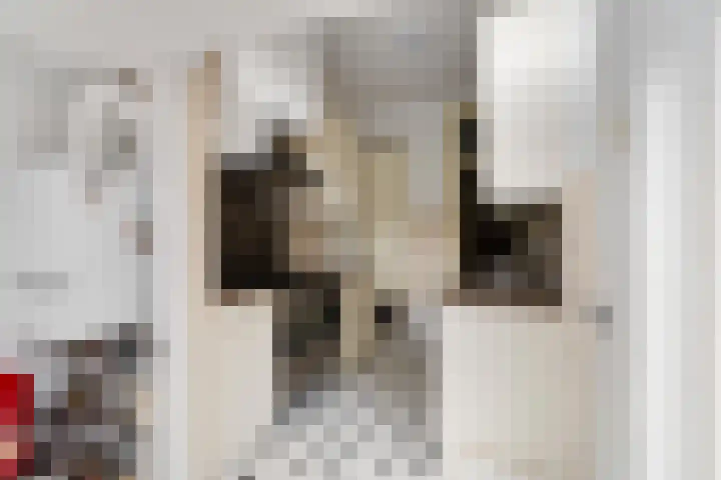 Ridderlaan 14 Den Haag thumbnail 25
