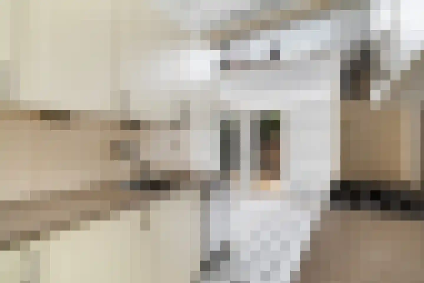 Ridderlaan 14 Den Haag thumbnail 27