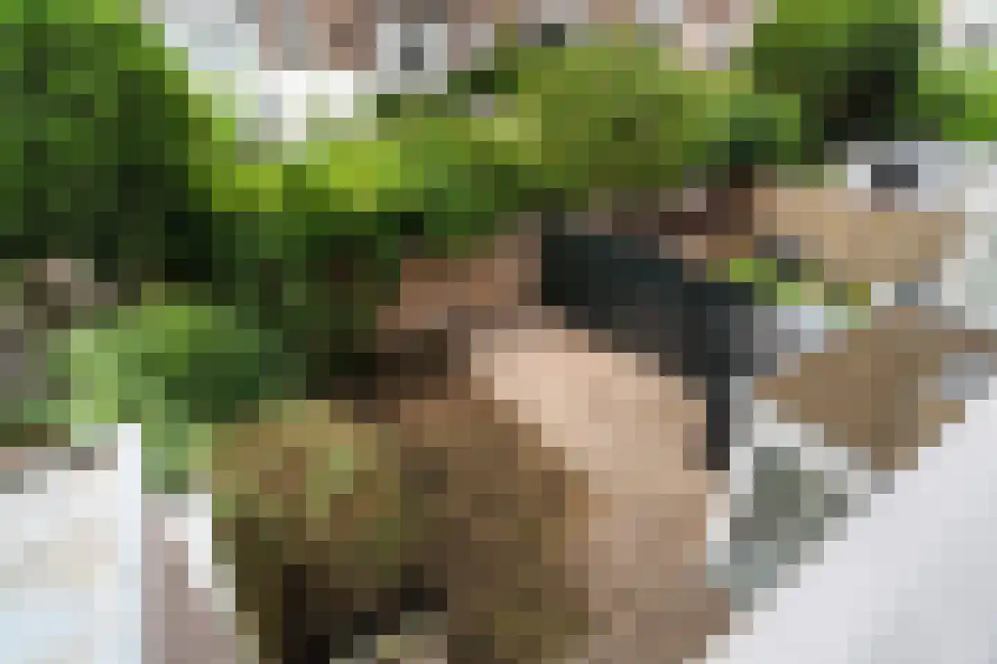 Ridderlaan 14 Den Haag thumbnail 4