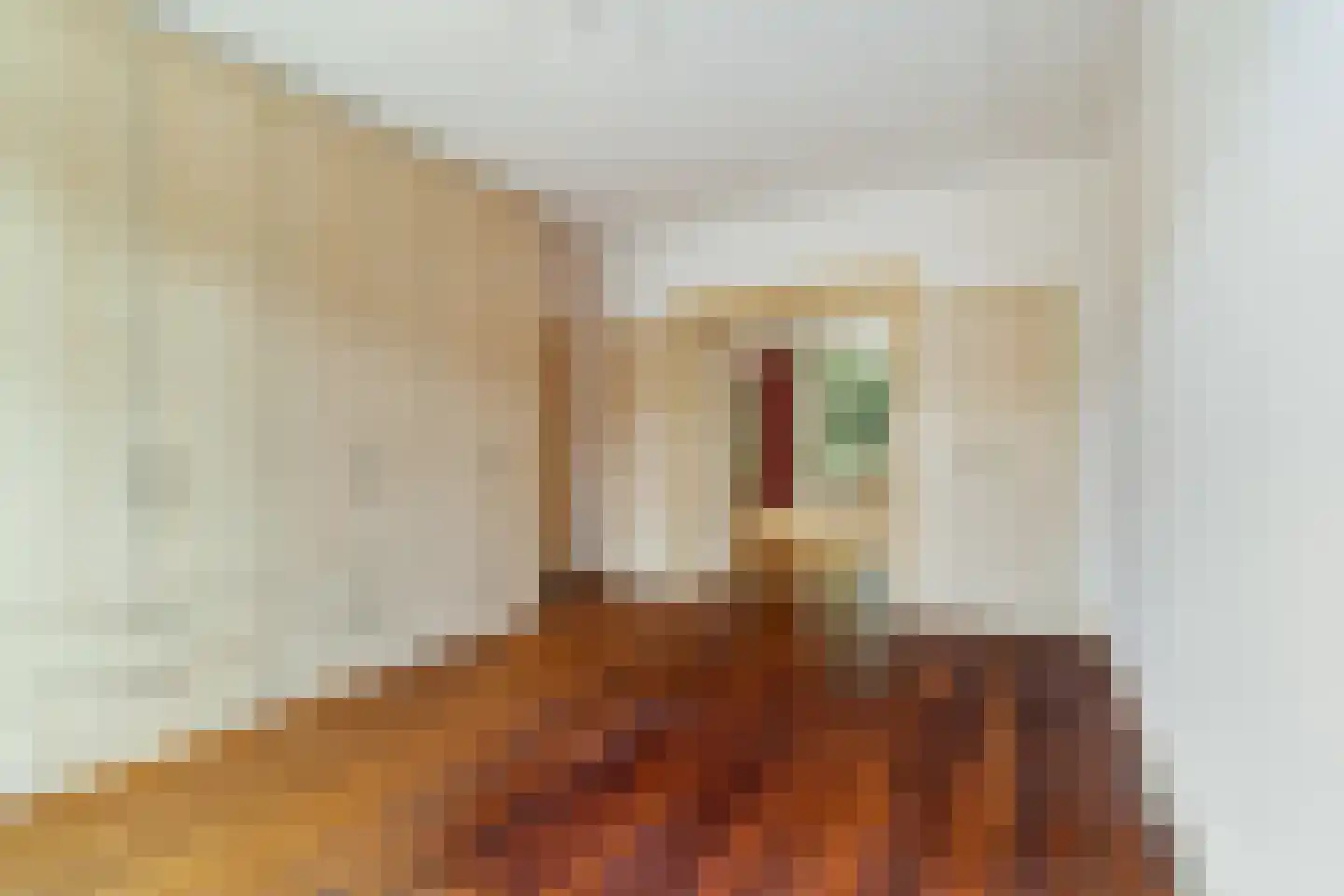 Ridderlaan 14 Den Haag thumbnail 44