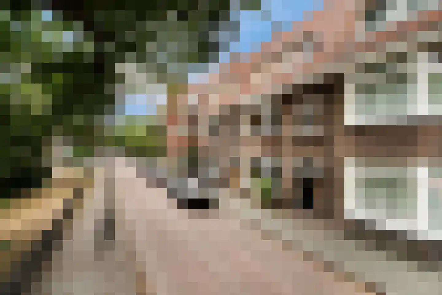 Ridderlaan 14 Den Haag thumbnail 5