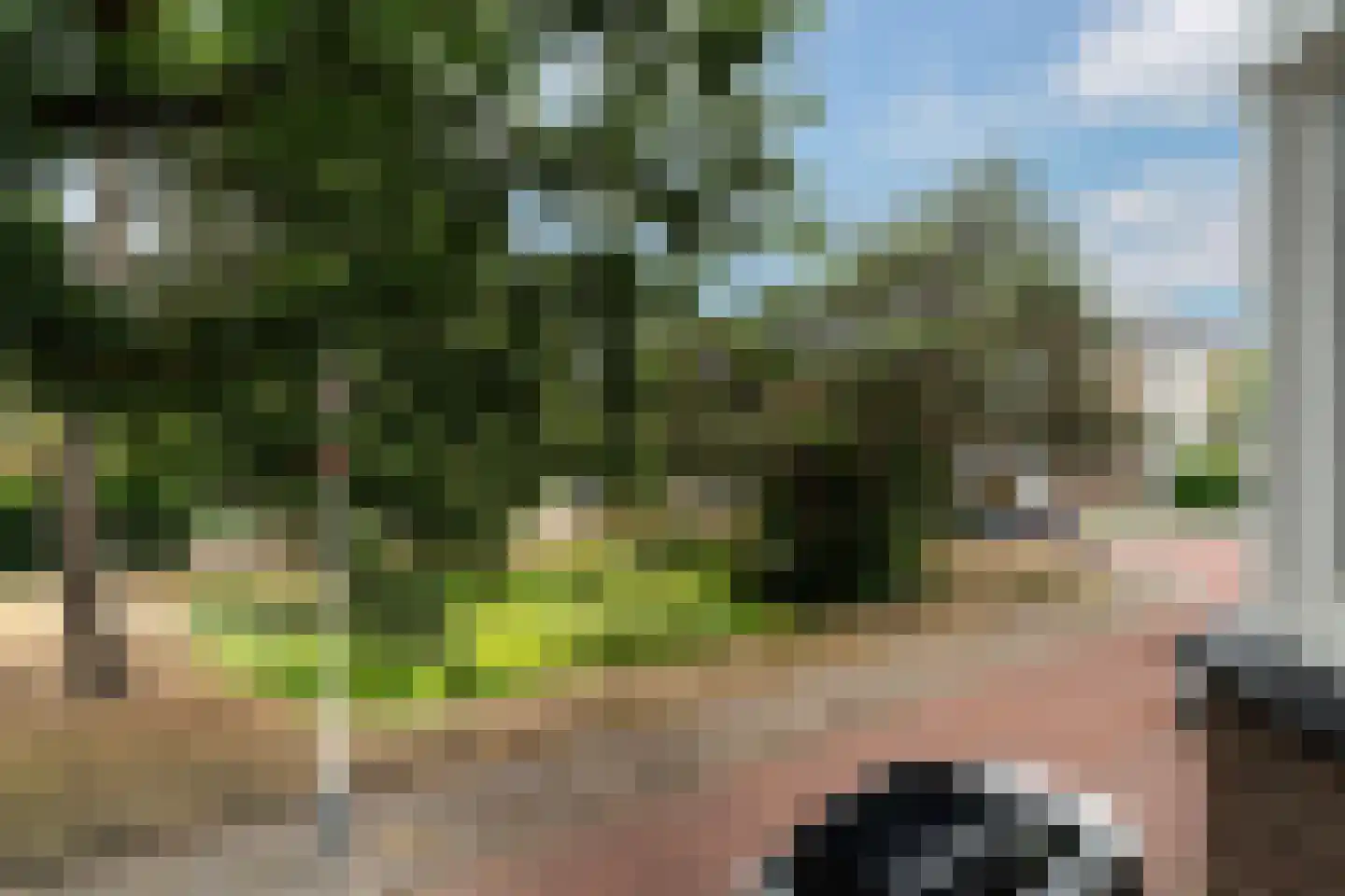 Ridderlaan 14 Den Haag thumbnail 64