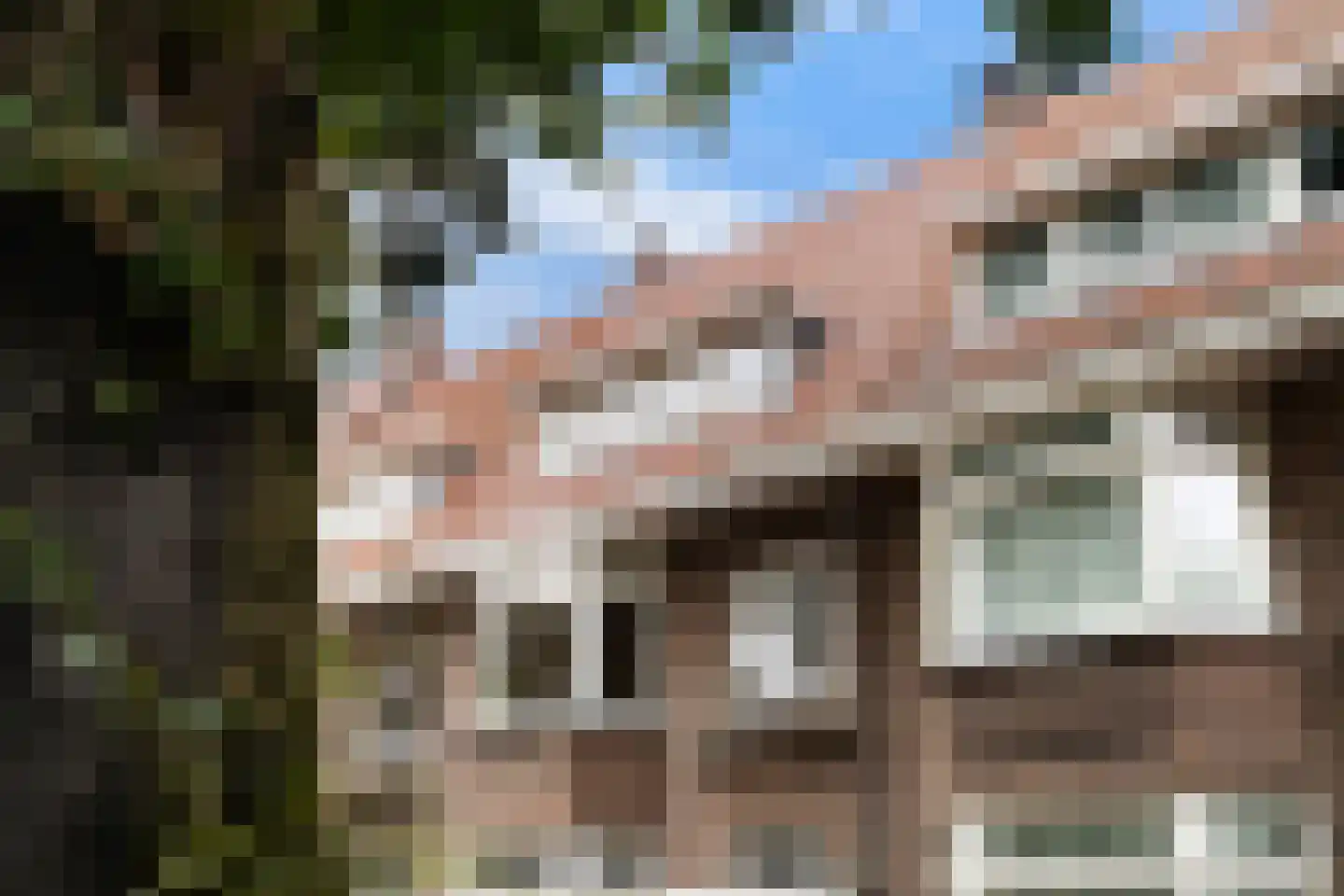 Ridderlaan 14 Den Haag thumbnail 7