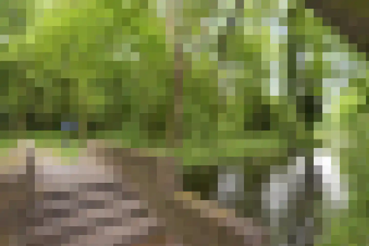 Ridderlaan 14 Den Haag thumbnail 77