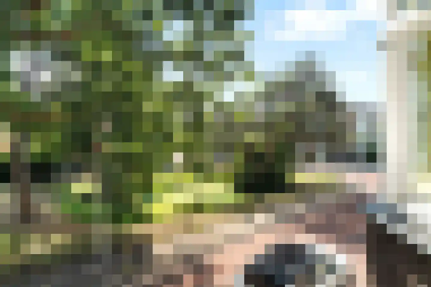 Ridderlaan 14 Den Haag thumbnail 78
