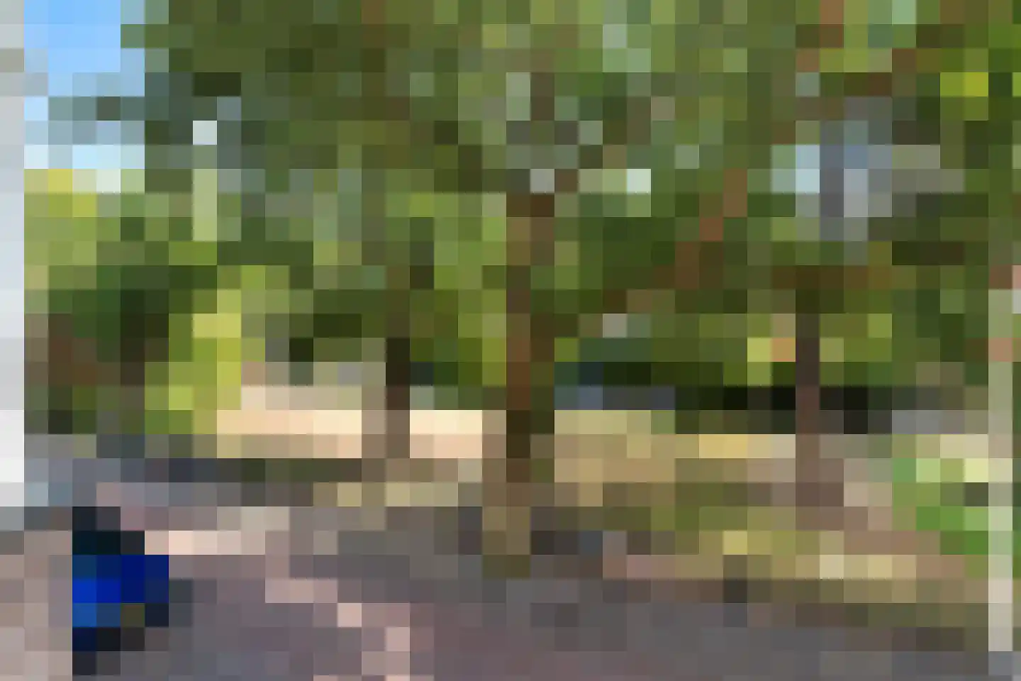 Ridderlaan 14 Den Haag thumbnail 79