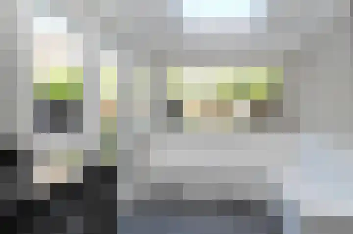 Ridderlaan 16 Den Haag thumbnail 10