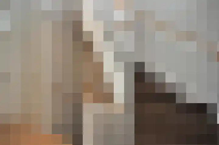 Ridderlaan 16 Den Haag thumbnail 17