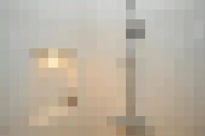 Ridderlaan 16 Den Haag thumbnail 23