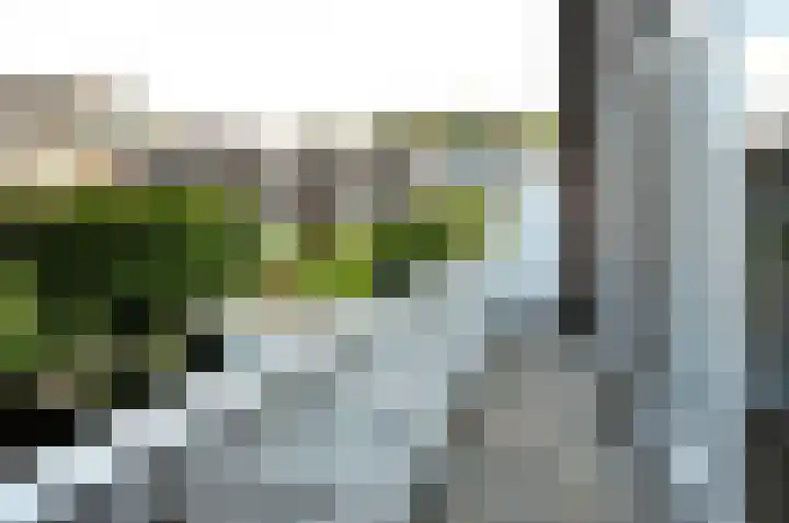 Ridderlaan 16 Den Haag thumbnail 30