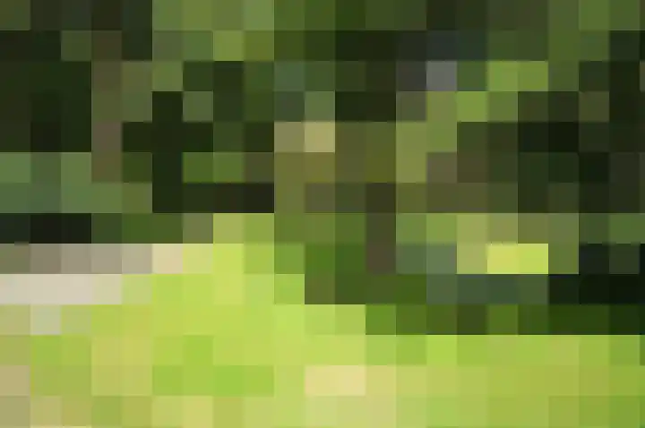 Ridderlaan 16 Den Haag thumbnail 35