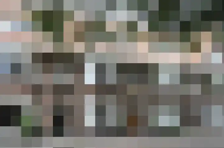Ridderlaan 16 Den Haag thumbnail 36