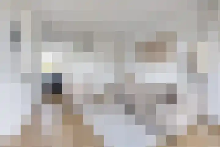 Ridderlaan 27 3 Utrecht thumbnail 12